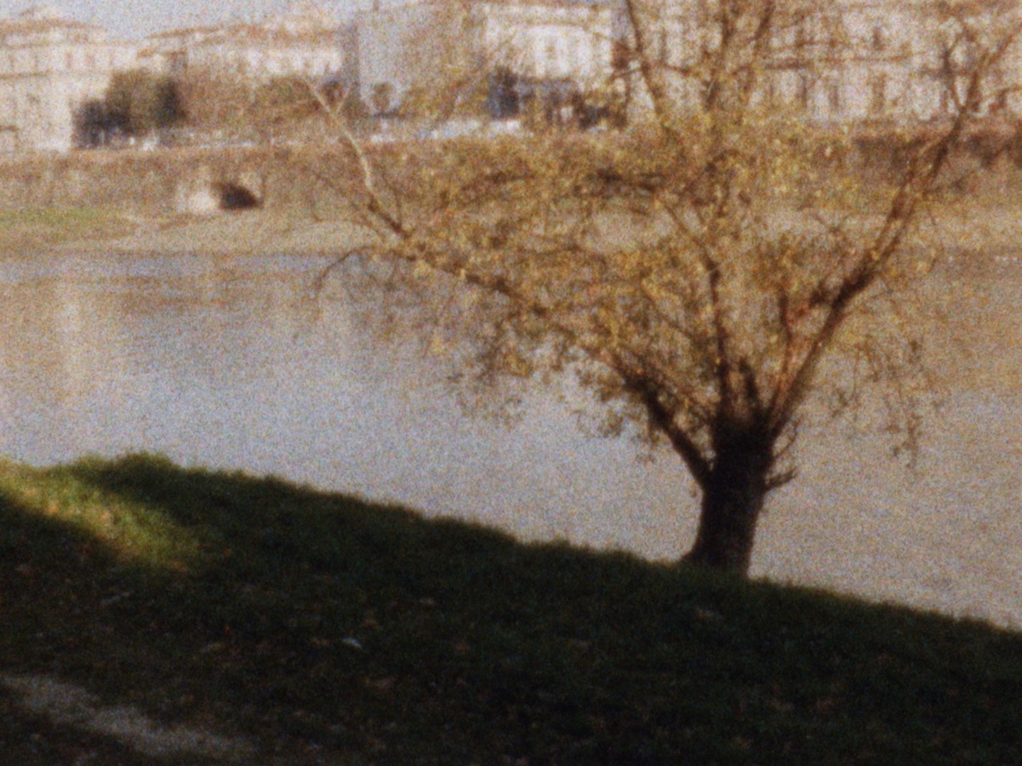 Ciompi image 2